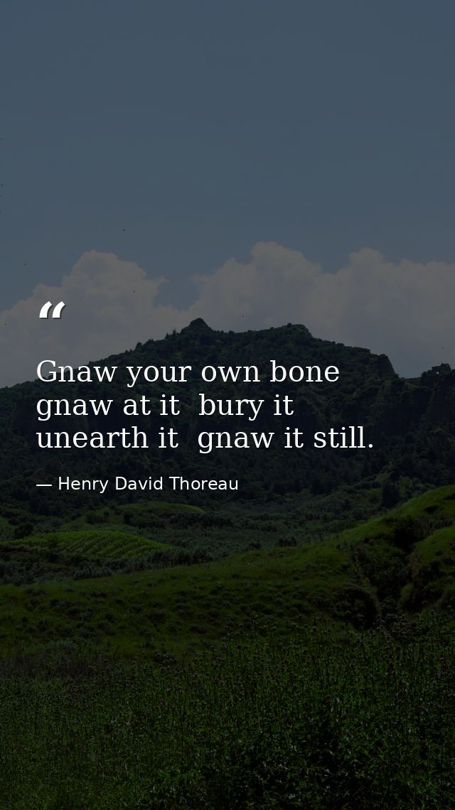 Gnaw your own bone  gnaw at it  bury it  unearth it  gnaw it still. — Henry David Thoreau