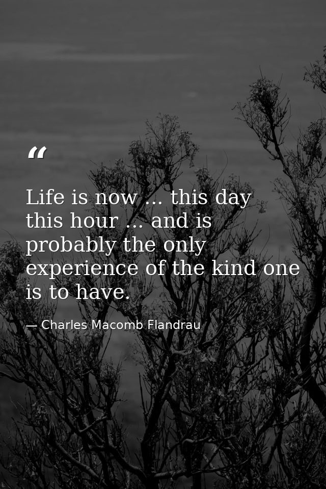 Life is now ... this day  this hour ... and is probably the only experience of the kind one is to have. — Charles Macomb Flandrau