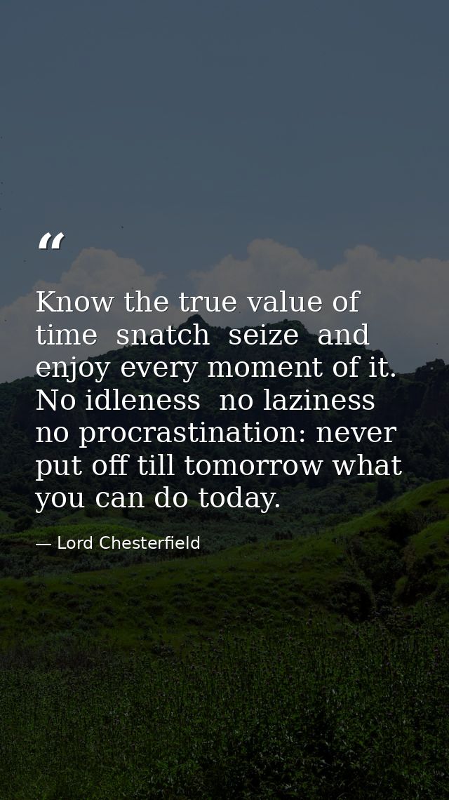 Know the true value of time  snatch  seize  and enjoy every moment of it. No idleness  no laziness  no procrastination:  — Lord Chesterfield