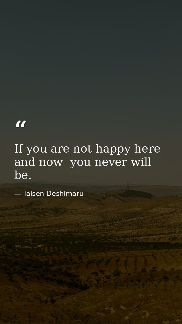 If you are not happy here and now  you never will be. — Taisen Deshimaru