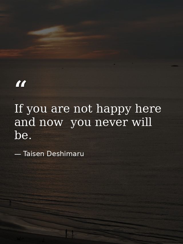 If you are not happy here and now  you never will be. — Taisen Deshimaru