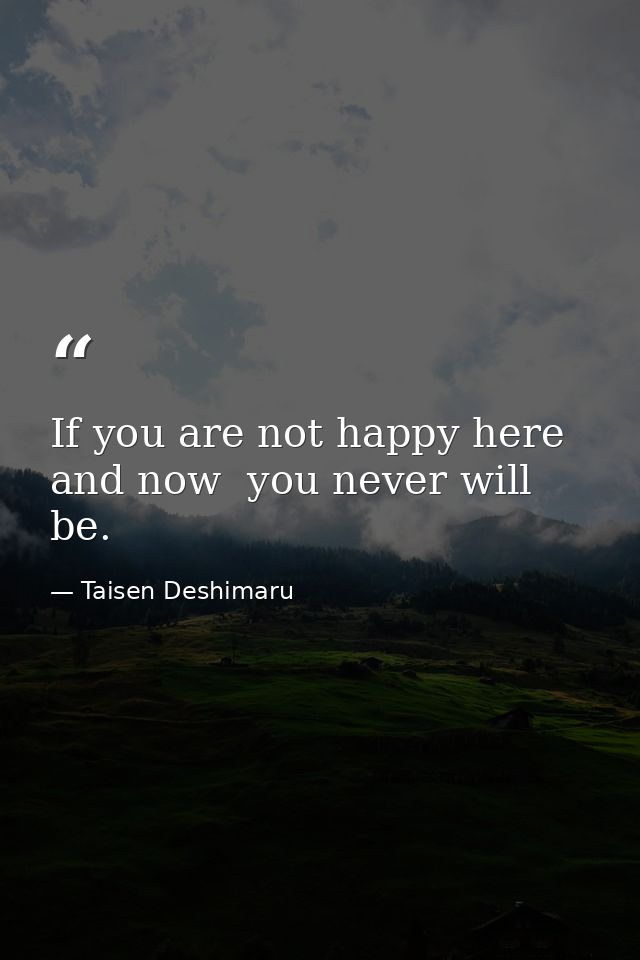 If you are not happy here and now  you never will be. — Taisen Deshimaru