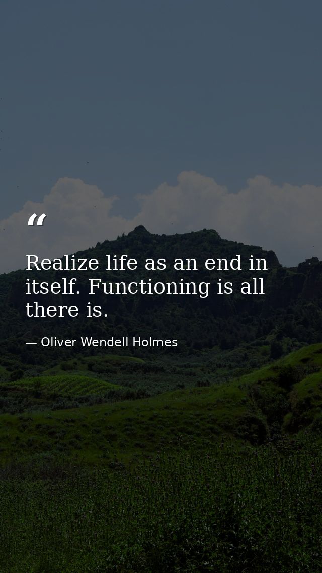 Realize life as an end in itself. Functioning is all there is. — Oliver Wendell Holmes