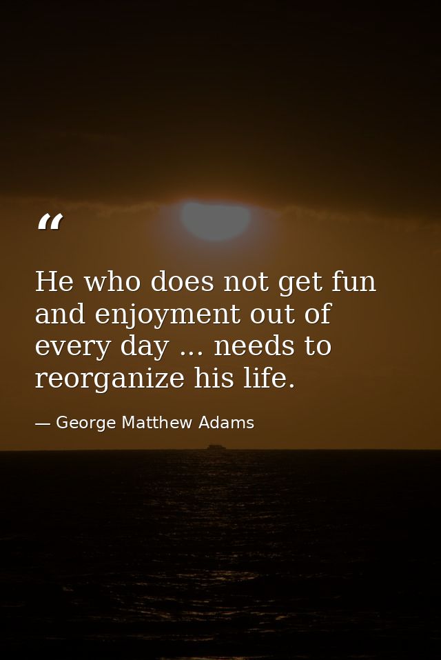 He who does not get fun and enjoyment out of every day ... needs to reorganize his life. — George Matthew Adams