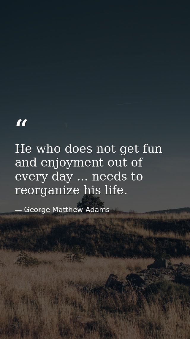 He who does not get fun and enjoyment out of every day ... needs to reorganize his life. — George Matthew Adams