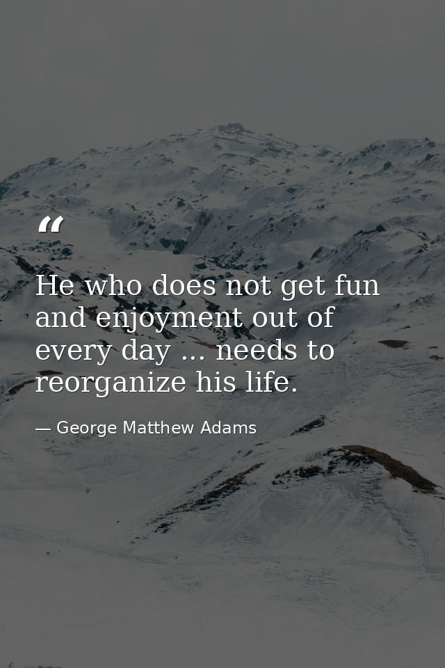 He who does not get fun and enjoyment out of every day ... needs to reorganize his life. — George Matthew Adams
