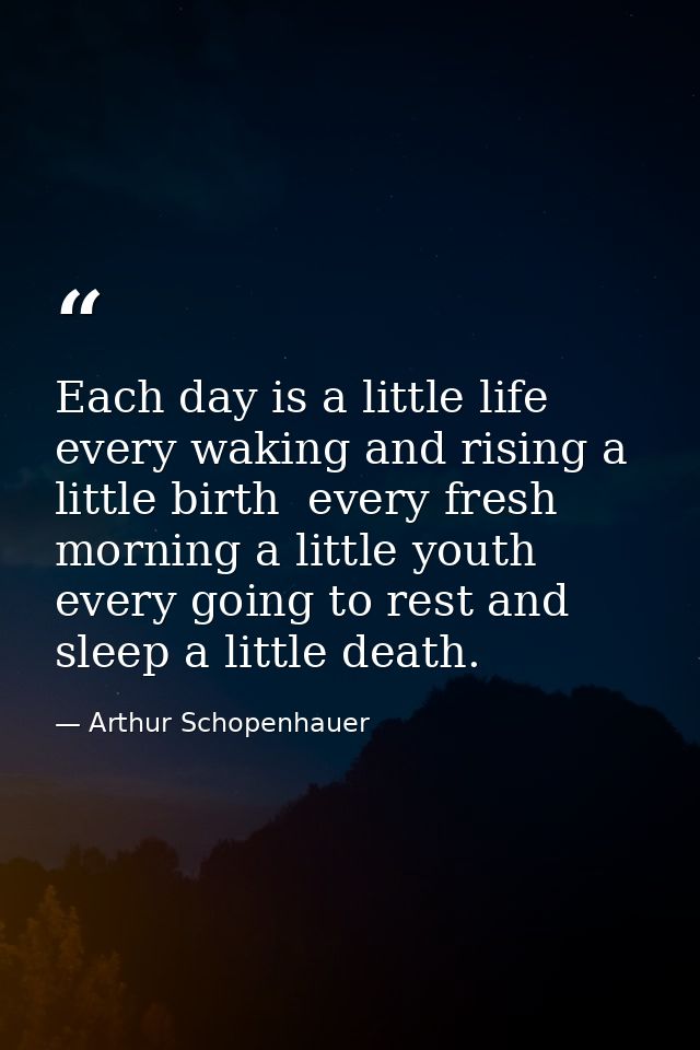 Each day is a little life  every waking and rising a little birth  every fresh morning a little youth  every going to re — Arthur Schopenhauer