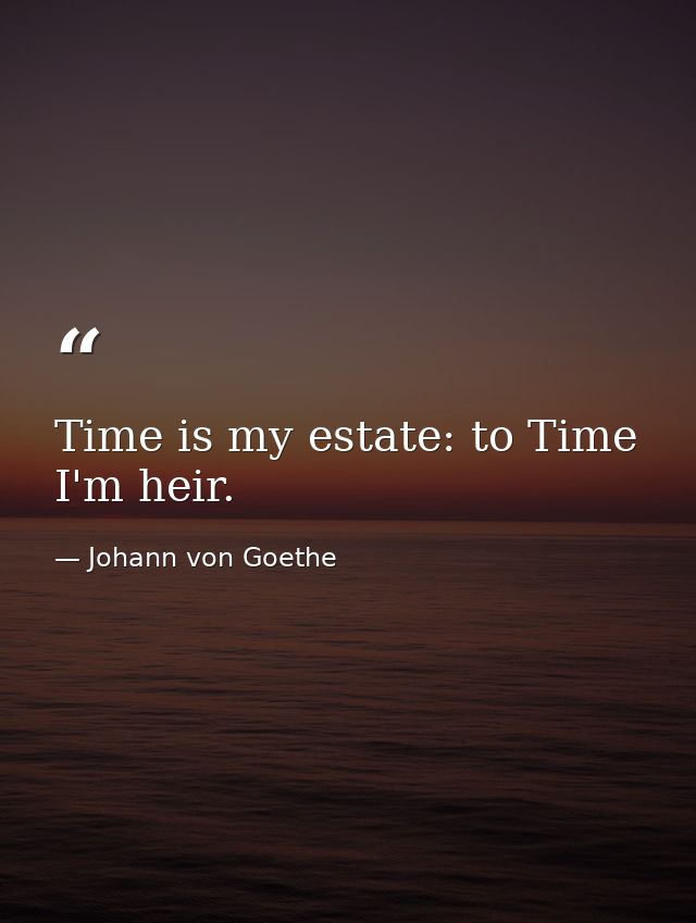 Time is my estate: to Time I'm heir. — Johann von Goethe