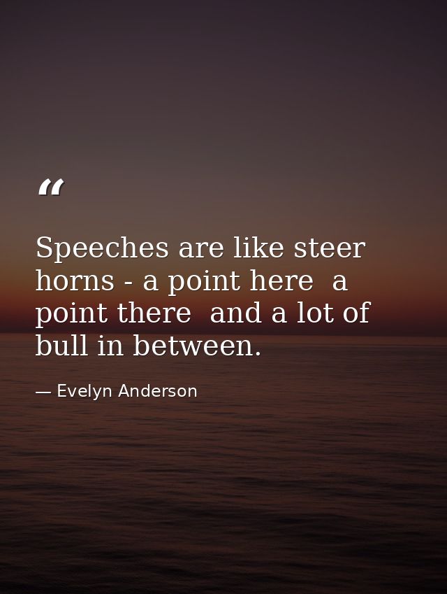 Speeches are like steer horns - a point here  a point there  and a lot of bull in between. — Evelyn Anderson