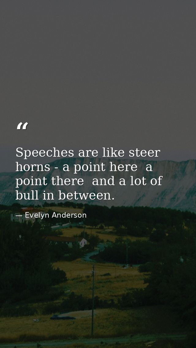 Speeches are like steer horns - a point here  a point there  and a lot of bull in between. — Evelyn Anderson