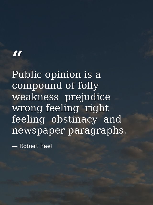 Public opinion is a compound of folly  weakness  prejudice  wrong feeling  right feeling  obstinacy  and newspaper parag — Robert Peel