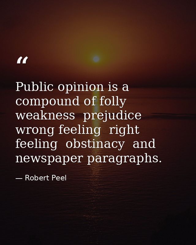 Public opinion is a compound of folly  weakness  prejudice  wrong feeling  right feeling  obstinacy  and newspaper parag — Robert Peel