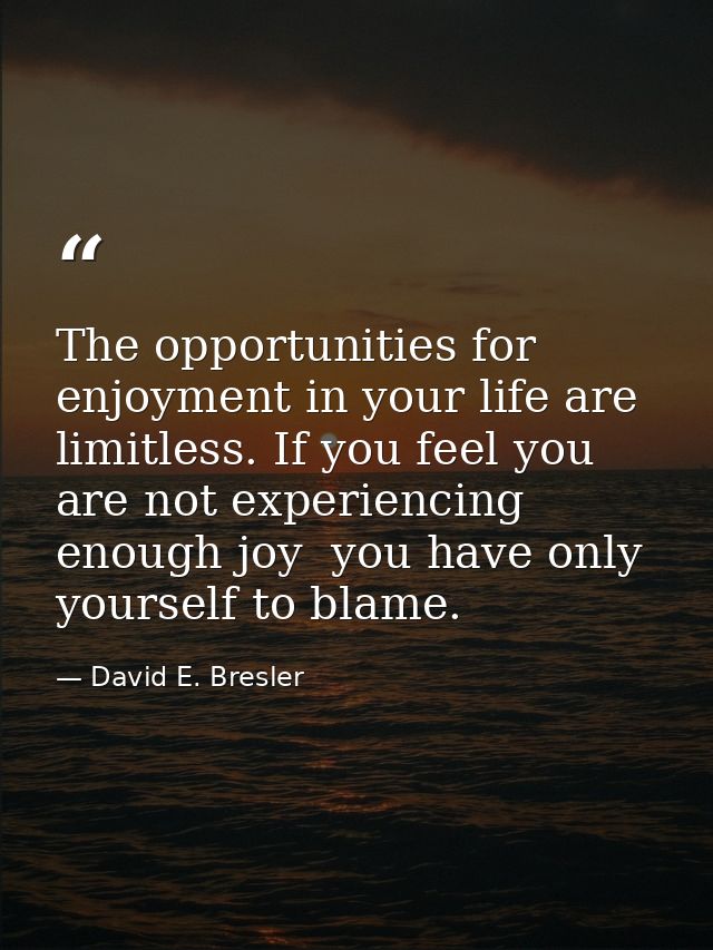 The opportunities for enjoyment in your life are limitless. If you feel you are not experiencing enough joy  you have on — David E. Bresler