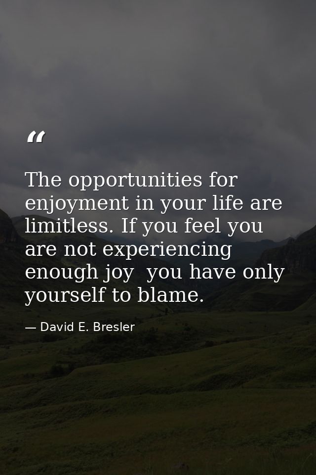 The opportunities for enjoyment in your life are limitless. If you feel you are not experiencing enough joy  you have on — David E. Bresler