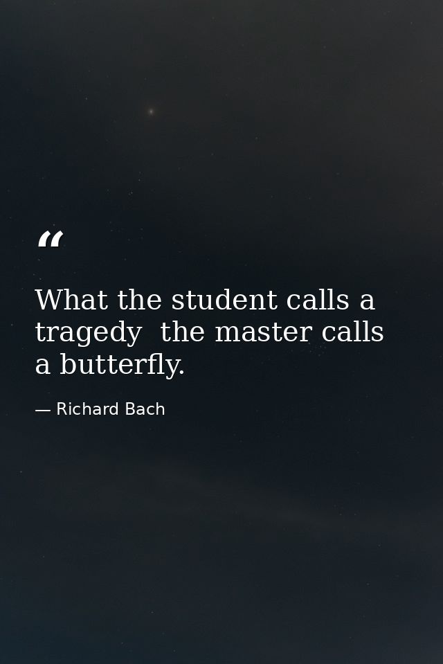What the student calls a tragedy  the master calls a butterfly. — Richard Bach