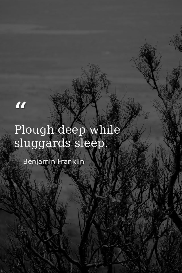 Plough deep while sluggards sleep. — Benjamin Franklin