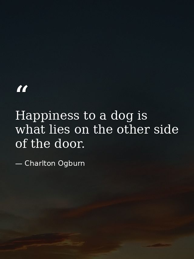 Happiness to a dog is what lies on the other side of the door. — Charlton Ogburn