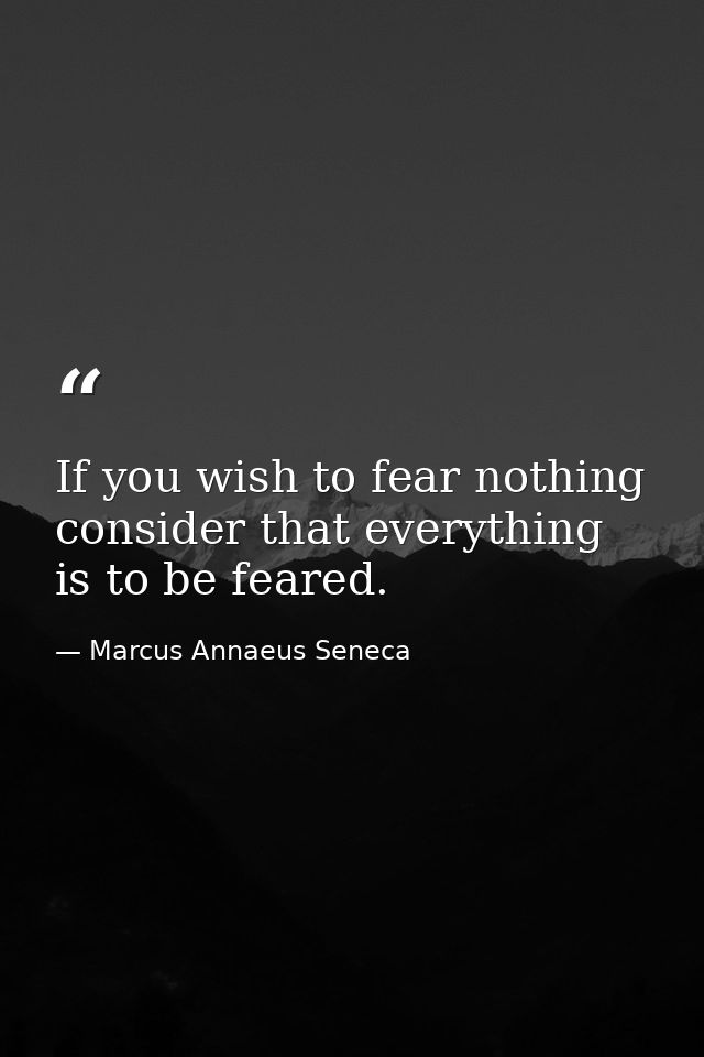 If you wish to fear nothing  consider that everything is to be feared. — Marcus Annaeus Seneca