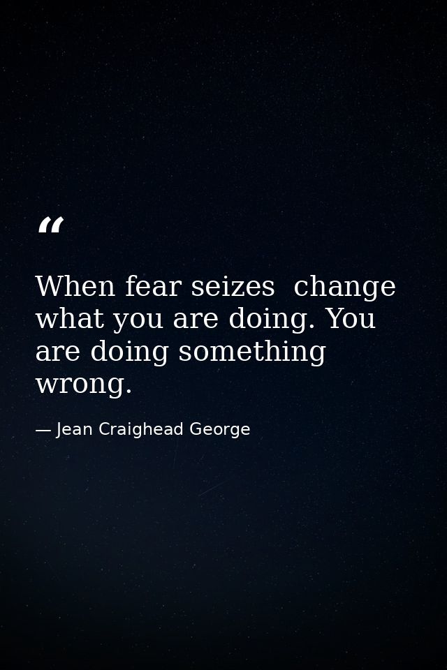 When fear seizes  change what you are doing. You are doing something wrong. — Jean Craighead George
