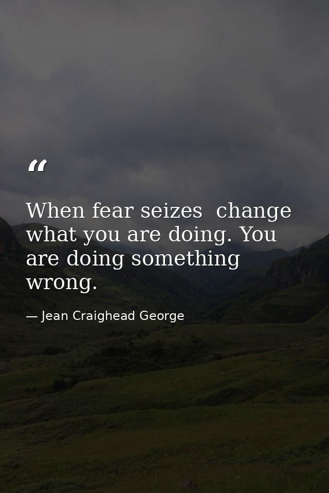 When fear seizes  change what you are doing. You are doing something wrong. — Jean Craighead George
