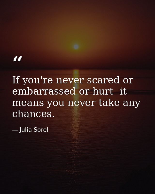 If you're never scared or embarrassed or hurt  it means you never take any chances. — Julia Sorel