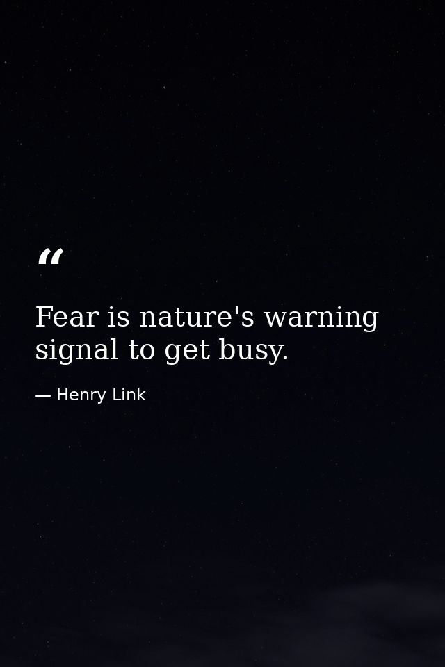 Fear is nature's warning signal to get busy. — Henry Link