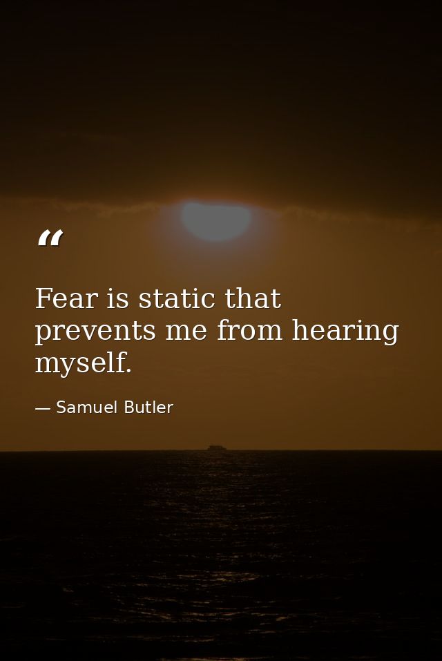 Fear is static that prevents me from hearing myself. — Samuel Butler
