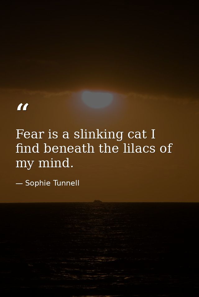 Fear is a slinking cat I find beneath the lilacs of my mind. — Sophie Tunnell