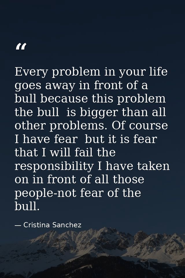 Every problem in your life goes away in front of a bull because this problem  the bull  is bigger than all other problem — Cristina Sanchez