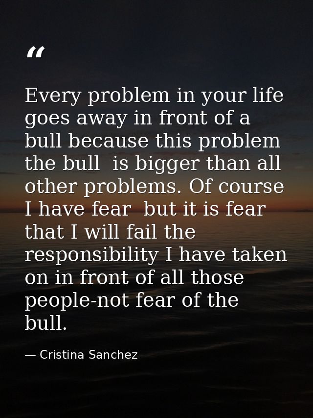 Every problem in your life goes away in front of a bull because this problem  the bull  is bigger than all other problem — Cristina Sanchez