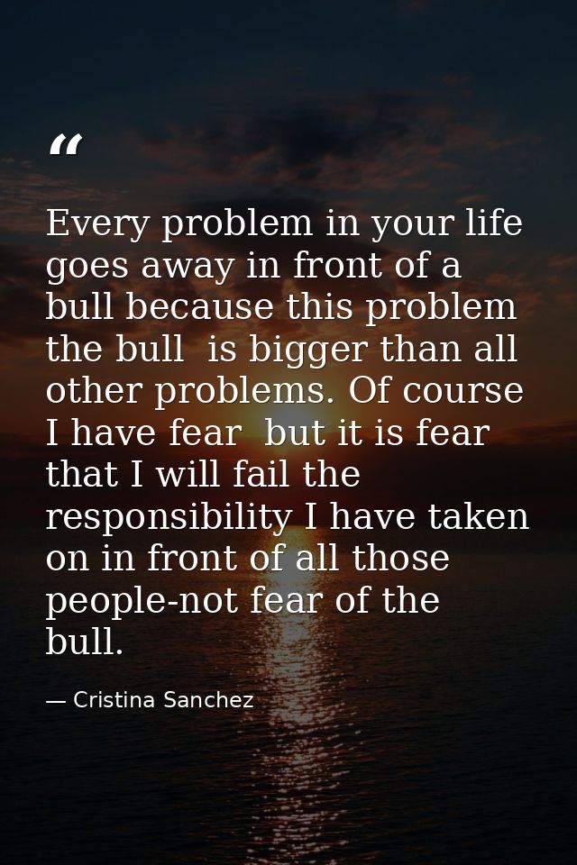 Every problem in your life goes away in front of a bull because this problem  the bull  is bigger than all other problem — Cristina Sanchez