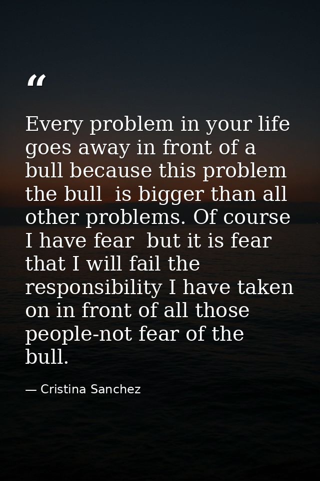 Every problem in your life goes away in front of a bull because this problem  the bull  is bigger than all other problem — Cristina Sanchez