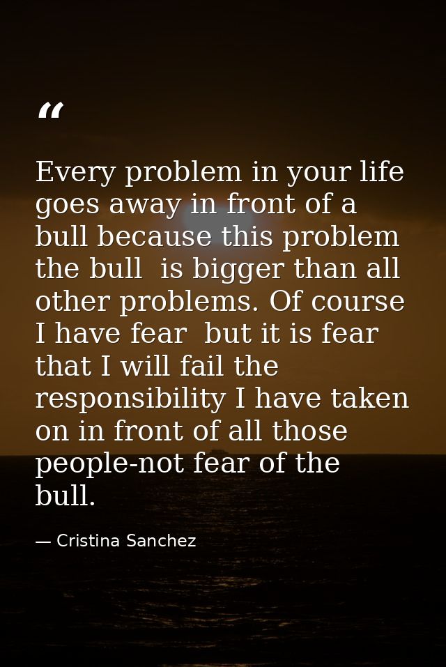 Every problem in your life goes away in front of a bull because this problem  the bull  is bigger than all other problem — Cristina Sanchez