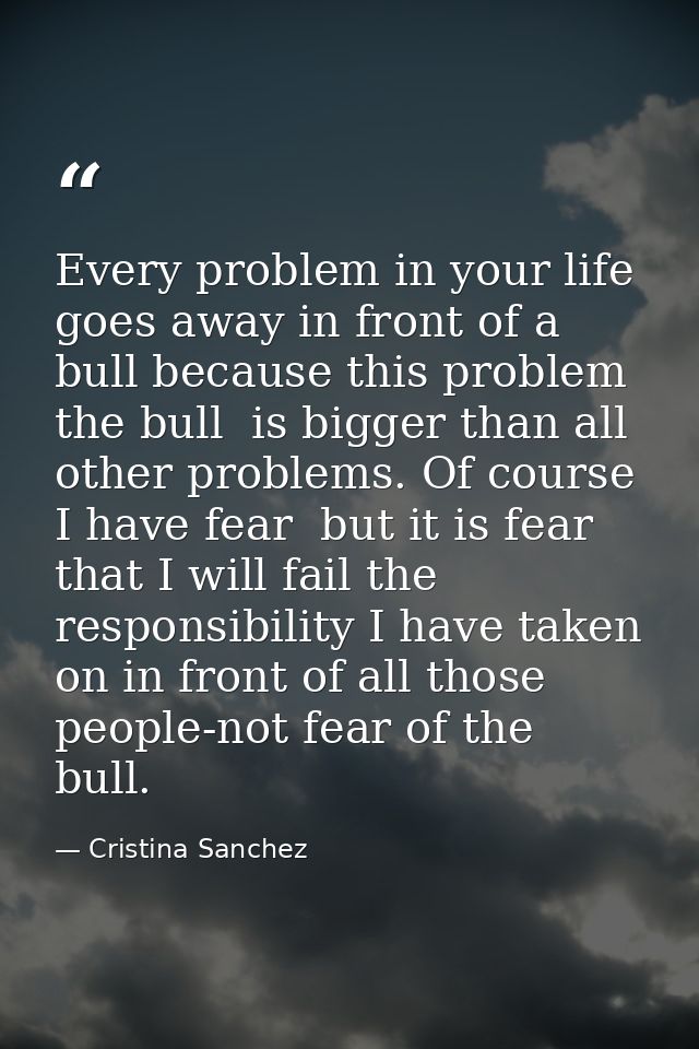 Every problem in your life goes away in front of a bull because this problem  the bull  is bigger than all other problem — Cristina Sanchez