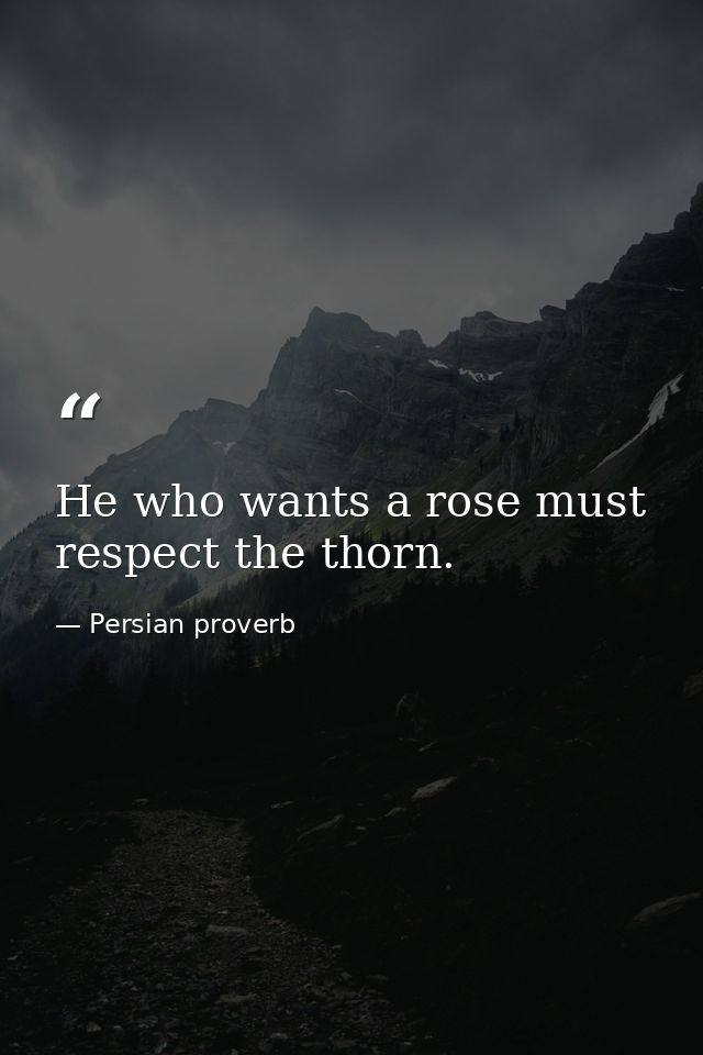 He who wants a rose must respect the thorn. — Persian proverb