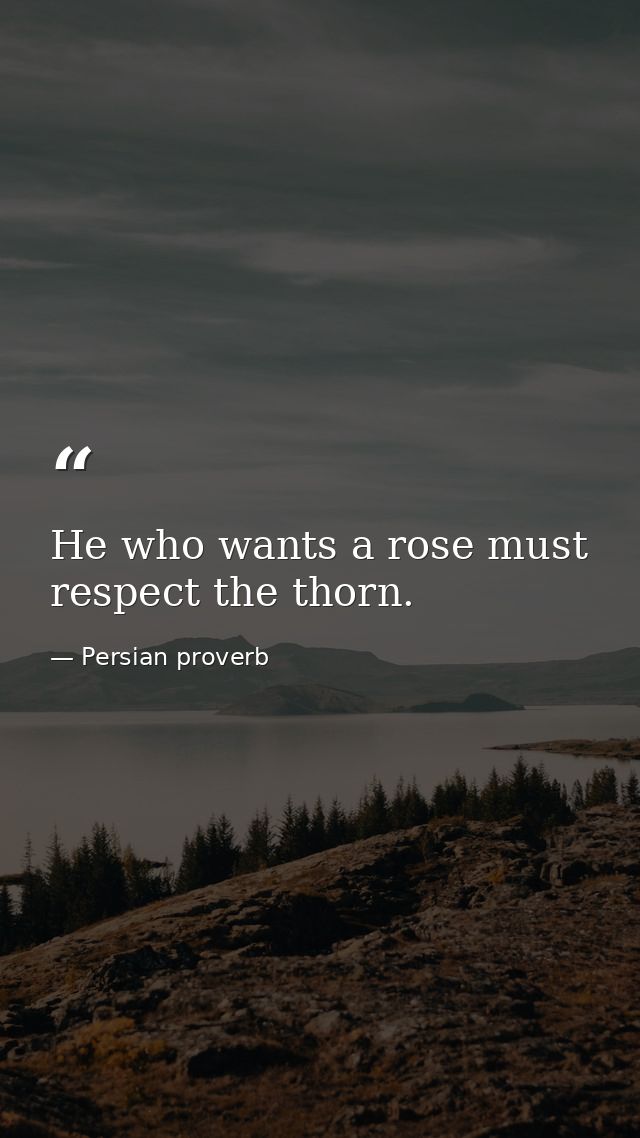 He who wants a rose must respect the thorn. — Persian proverb