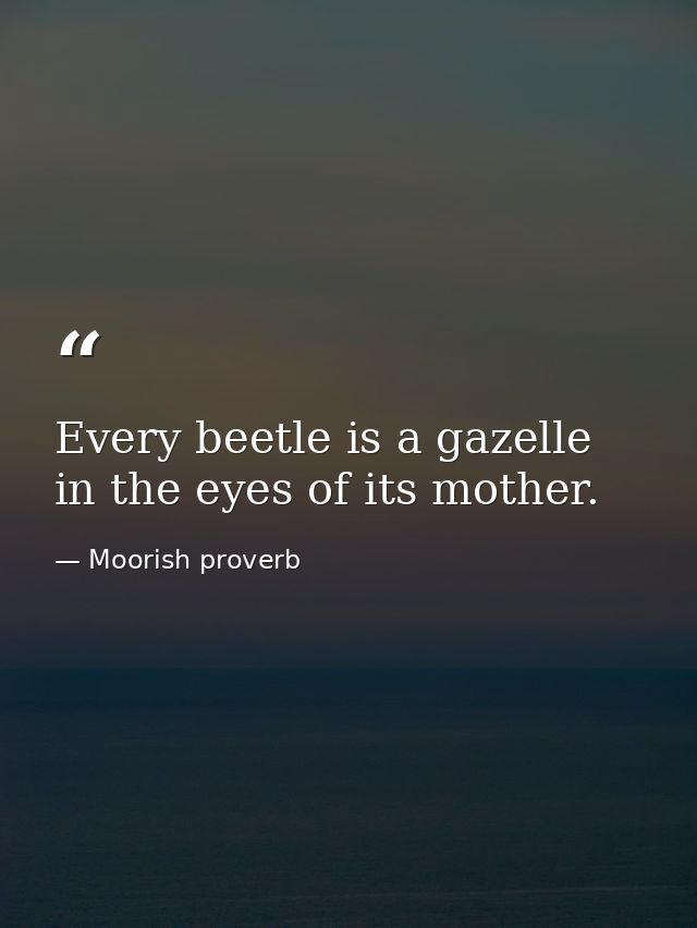 Every beetle is a gazelle in the eyes of its mother. — Moorish proverb