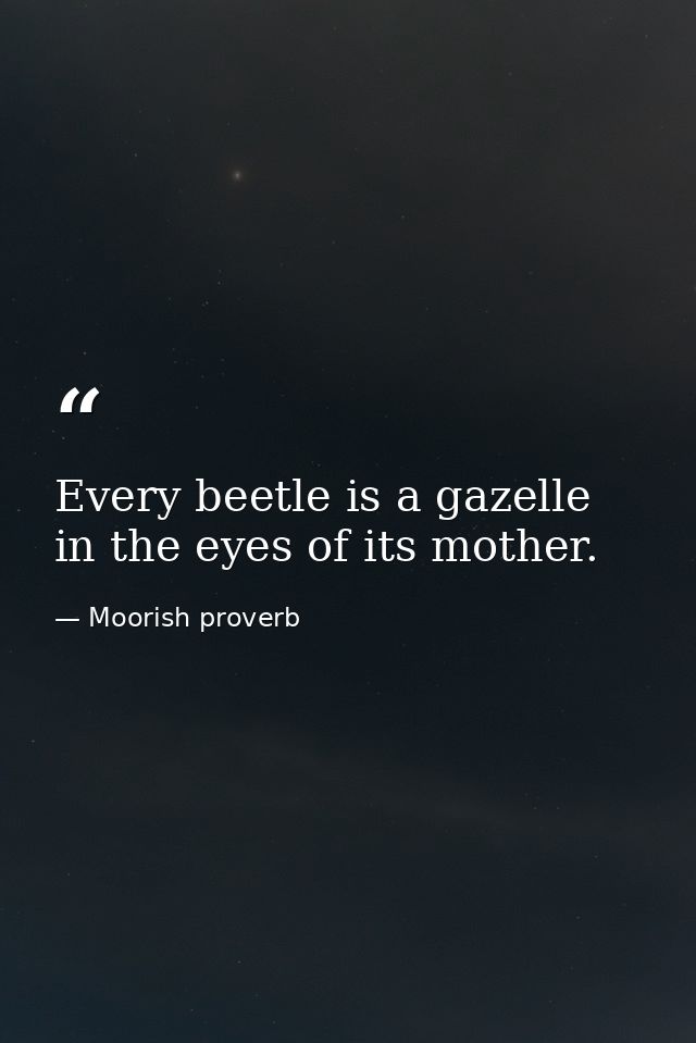 Every beetle is a gazelle in the eyes of its mother. — Moorish proverb