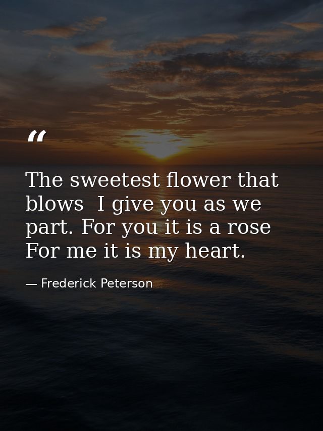 The sweetest flower that blows  I give you as we part. For you it is a rose For me it is my heart. — Frederick Peterson