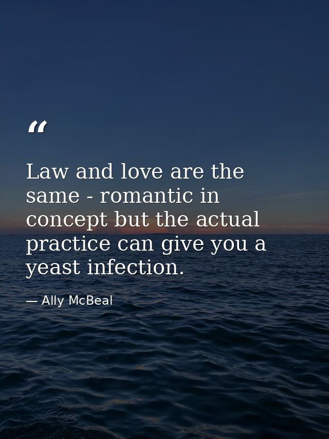 Law and love are the same - romantic in concept but the actual practice can give you a yeast infection. — Ally McBeal