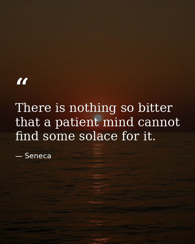 There is nothing so bitter  that a patient mind cannot find some solace for it. — Seneca