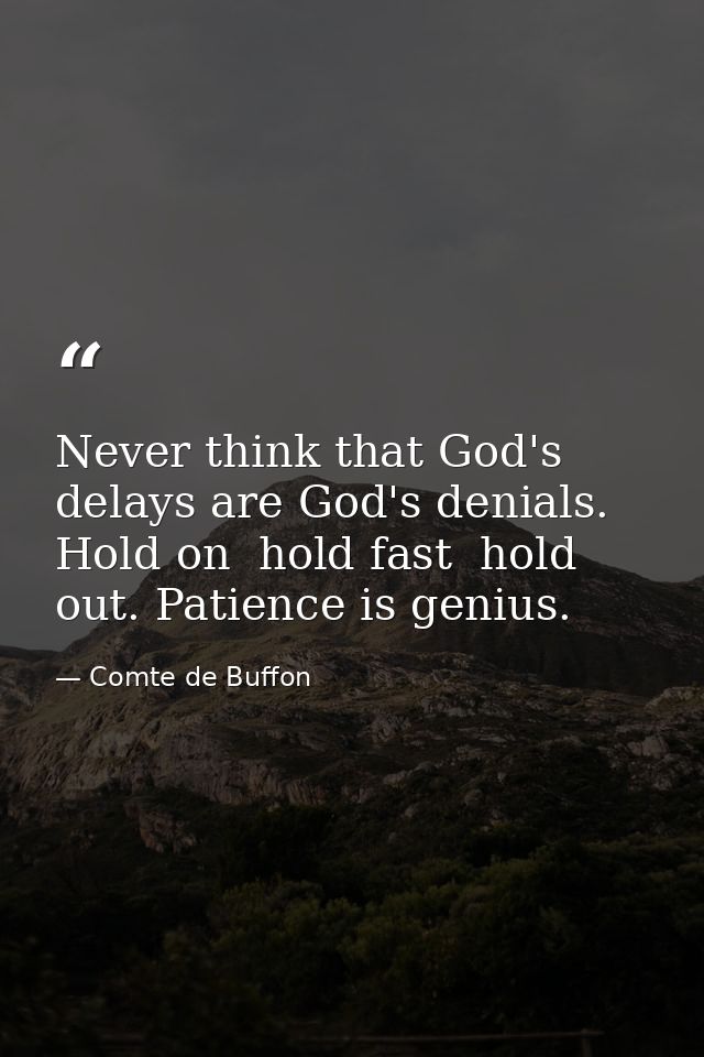 Never think that God's delays are God's denials. Hold on  hold fast  hold out. Patience is genius. — Comte de Buffon