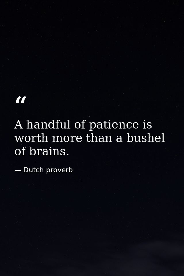 A handful of patience is worth more than a bushel of brains. — Dutch proverb