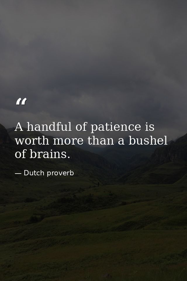A handful of patience is worth more than a bushel of brains. — Dutch proverb