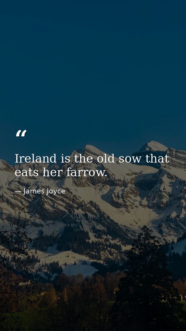Ireland is the old sow that eats her farrow. — James Joyce