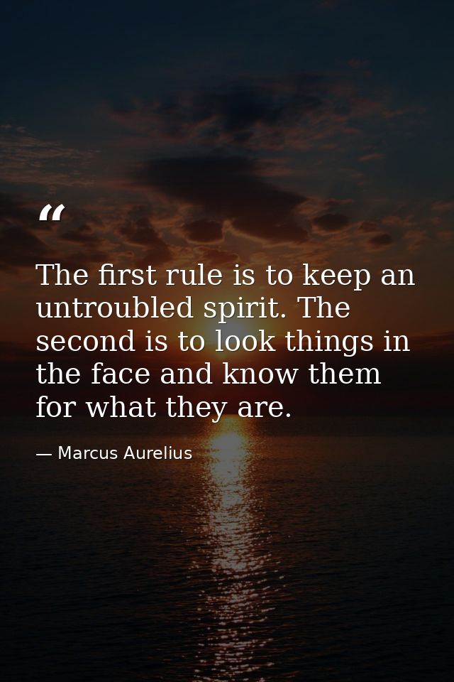 The first rule is to keep an untroubled spirit. The second is to look things in the face and know them for what they are — Marcus Aurelius