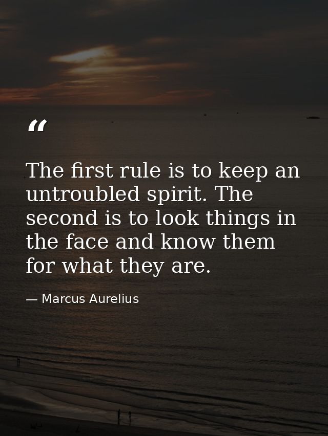 The first rule is to keep an untroubled spirit. The second is to look things in the face and know them for what they are — Marcus Aurelius