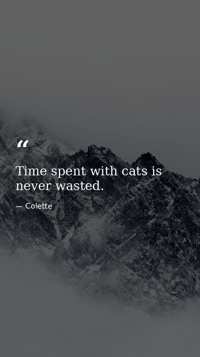 Time spent with cats is never wasted. — Colette