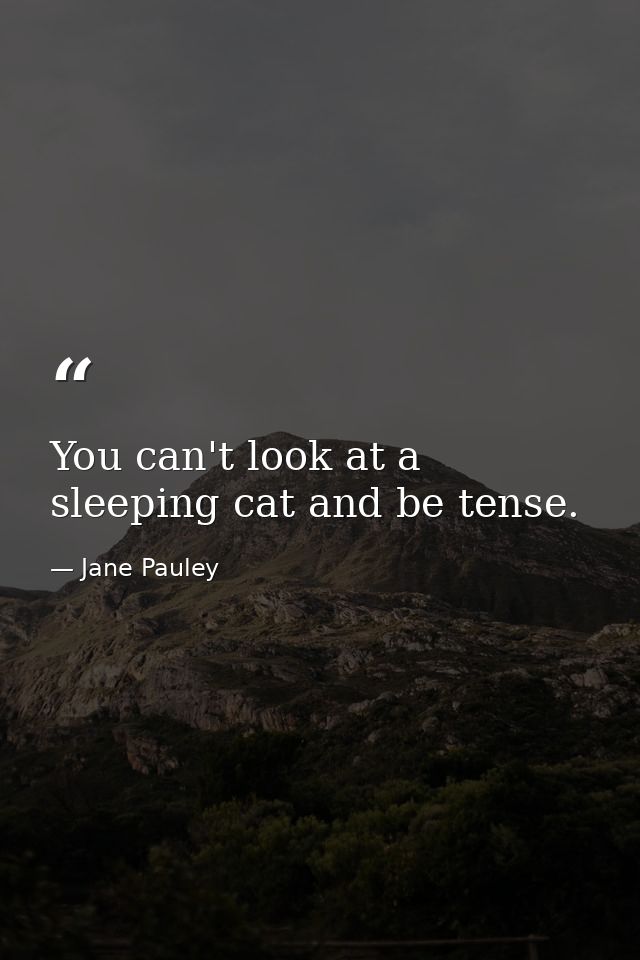 You can't look at a sleeping cat and be tense. — Jane Pauley
