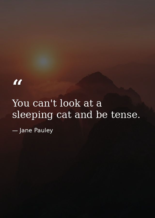 You can't look at a sleeping cat and be tense. — Jane Pauley